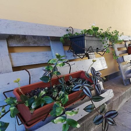 Studio Apartman Fleiss Lägenhet Samobor Exteriör bild