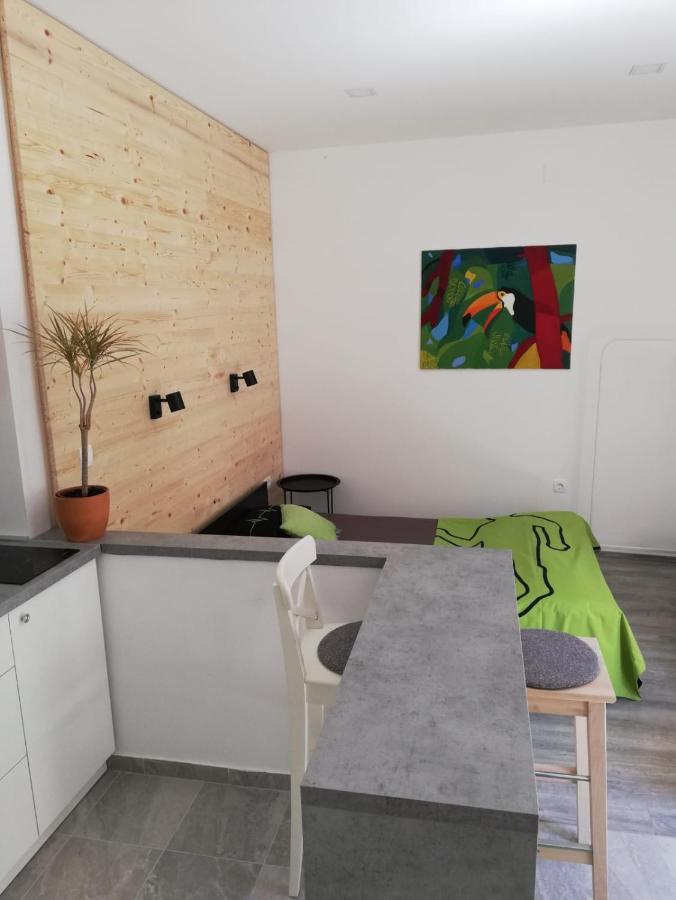 Studio Apartman Fleiss Lägenhet Samobor Exteriör bild