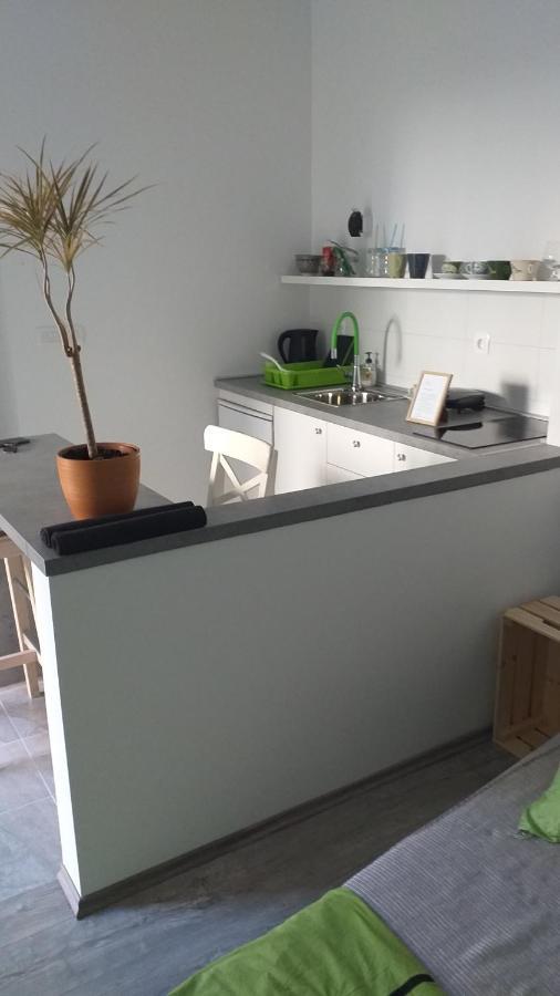 Studio Apartman Fleiss Lägenhet Samobor Exteriör bild
