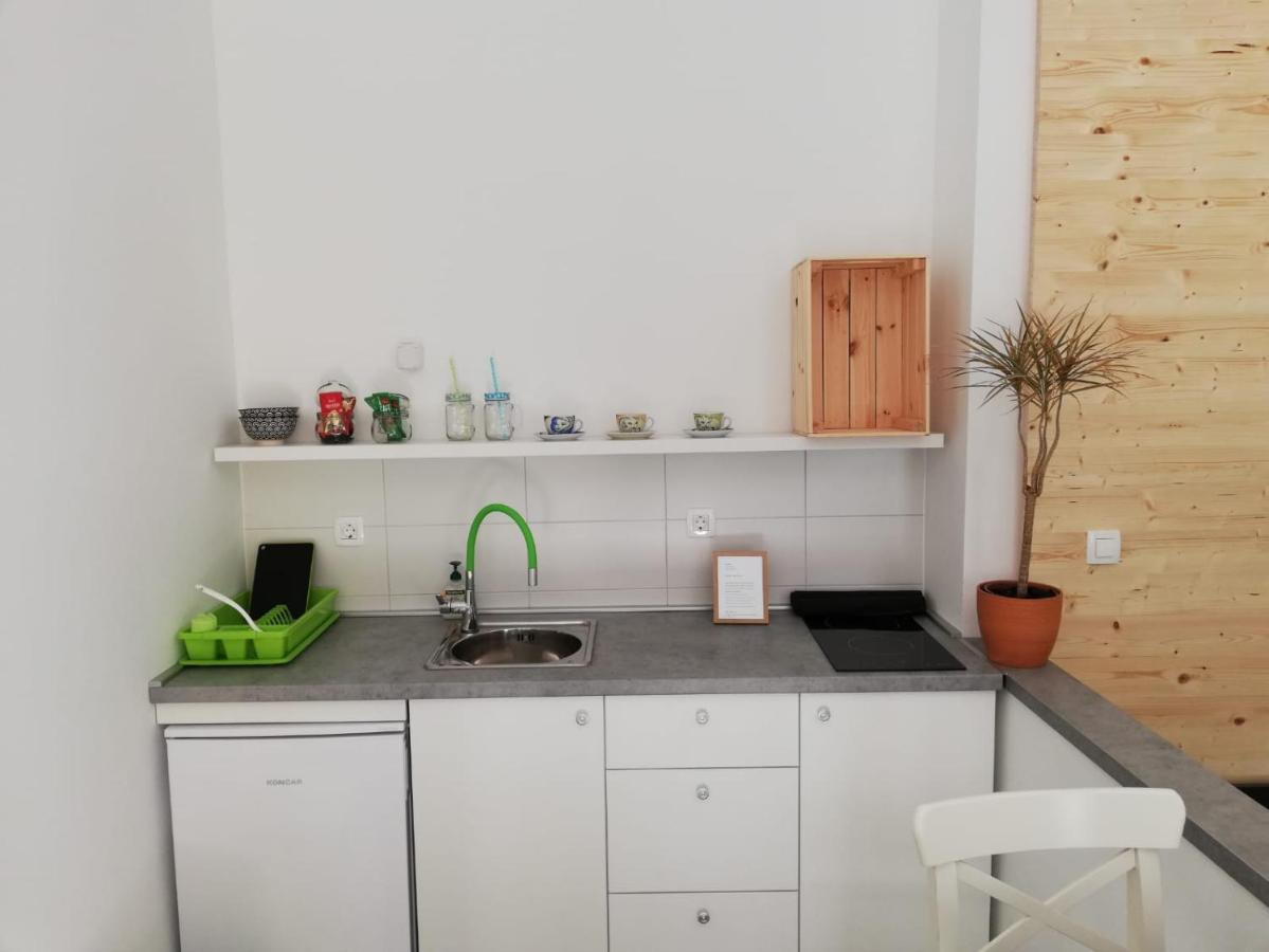 Studio Apartman Fleiss Lägenhet Samobor Exteriör bild
